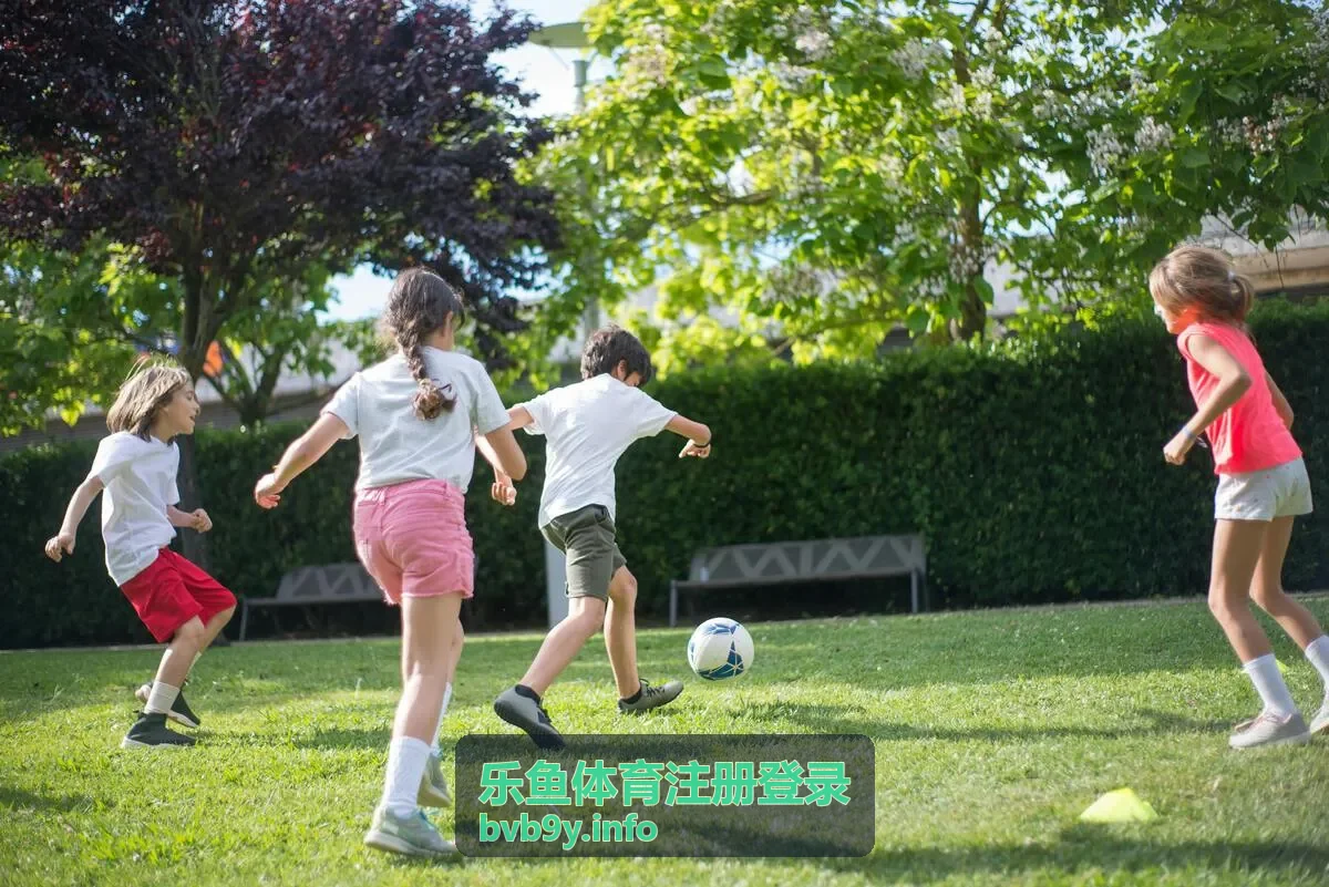 乐鱼体育官网注册登录流程介绍